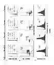Fig. 02 - Compositions comprising IL-7 receptor ligands