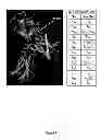 Fig. 06 - Compositions comprising IL-7 receptor ligands