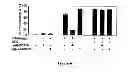 Fig. 07 - Method of treating degenerative disorders of the nervous system