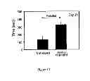 Fig. 14 - Method of treating degenerative disorders of the nervous system