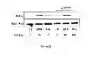 Fig. 23 - Method of treating degenerative disorders of the nervous system