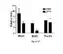Fig. 28 - Method of treating degenerative disorders of the nervous system