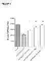 Fig. 02 - COMPOSITION AND METHOD FOR THE DIAGNOSIS AND TREATMENT OF DISEASES ASSOCIATED WITH NEURITE DEGENERATION