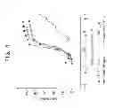 Fig. 07 - METHODS OF TREATING DISORDERS USING HUMAN ANTIBODIES THAT BIND HUMAN TNFalpha