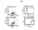 Fig. 09 - Antagonistic DR3 ligands
