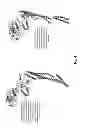 Fig. 05 - COMPOSITIONS WITH ENHANCED IMMUNOGENICITY AND/OR REDUCED REACTOGENICITY