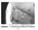 Fig. 07 - Oxidized graphite and carbon fiber