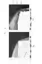 Fig. 02 - MULTI-LAYER COATING FILMS
