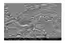 Fig. 01 - Method for producing nanosurfaces with nano, micron, and/or submicron structures on a polymer