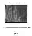 Fig. 08 - Method for producing nanosurfaces with nano, micron, and/or submicron structures on a polymer