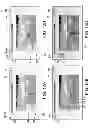 Fig. 06 - Interactive Cognitive Recognition Sports Training System and Methods