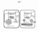 Fig. 02 - METHOD AND APPARATUS FOR DETECTING LIVER DISEASE, AND METHOD FOR ASSAYING PHARMACEUTICAL PREPARATION