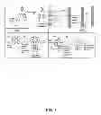 Fig. 02 - SOL-GEL DERIVED SENSOR FOR RAPID DETERMINATION OF HEAVY METALS