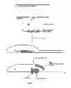 Fig. 02 - Methods for nucleic acid manipulation