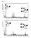Fig. 33 - Fusion enzymes
