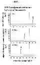 Fig. 04 - Process for production of cis-4-hydroxy-L-proline