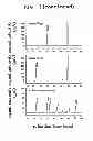 Fig. 05 - Process for production of cis-4-hydroxy-L-proline