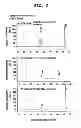 Fig. 07 - Process for production of cis-4-hydroxy-L-proline