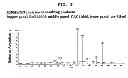 Fig. 12 - Process for production of cis-4-hydroxy-L-proline