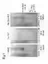 Fig. 02 - Methods for preparing a hydrocarbon