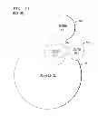 Fig. 26 - Geofence with kalman filter