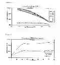 Fig. 06 - Use of recycled plastics for structural building forms