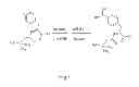 Fig. 02 - Process for preparing 4-borono-L-phenylalanine