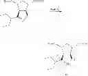 Fig. 09 - (1S,2S,3S,4R)-3-[(1S)-1-acetylamino-2-ethyl-butyl]-4-guanidino-2-hydroxy-cyclopentyl-l-carboxylic acid hydrates pharmaceutical uses thereof