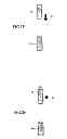 Fig. 06 - Vehicle control device and vehicle control method