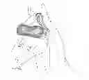 Fig. 01 - Equine Eyewear
