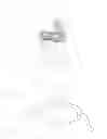 Fig. 02 - Equine Eyewear
