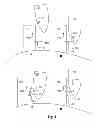 Fig. 02 - Boat line management