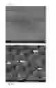 Fig. 05 - BRAKE DISC AND PRODUCTION METHOD THEREOF
