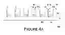 Fig. 08 - Light emitting diode package structure and manufacturing method thereof