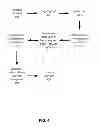 Fig. 05 - Identification and isolation of radio signals for a wireless location system