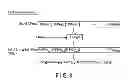 Fig. 04 - Device and method for certifying one's own authenticity