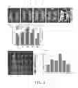 Fig. 09 - NANOPARTICLE AND METHOD FOR DETECTING OR TREATING A TUMOR USING THE SAME