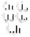 Fig. 02 - Modulation of the immune response