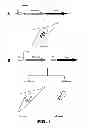 Fig. 02 - Recombinant bacterium comprising a toxin/antitoxin system