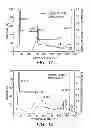 Fig. 02 - Polyurea capsules prepared with aliphatic isocyanates and amines