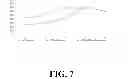 Fig. 08 - BIOMIMETIC PEPTIDES FOR BONE AUGMENTATION