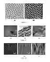 Fig. 09 - BIOFUNCTIONALIZED MAGNETIC NANOWIRES