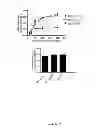Fig. 08 - Chimeric fibronectin matrix mimetics and uses therof