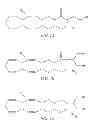 Fig. 02 - System and Method of Reducing Impairment of Alertness, Concentration, Motivation, and Creativity Caused by Medication