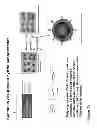 Fig. 03 - NOVEL FORMULATIONS AND METHODS