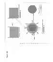 Fig. 07 - NOVEL FORMULATIONS AND METHODS