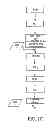 Fig. 04 - Oral pharmaceutical dosage forms