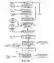 Fig. 08 - Oral Pharmaceutical Dosage Forms