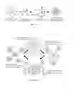 Fig. 13 - Membrane encapsulated nanoparticles and method of use