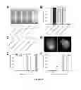 Fig. 16 - Membrane encapsulated nanoparticles and method of use